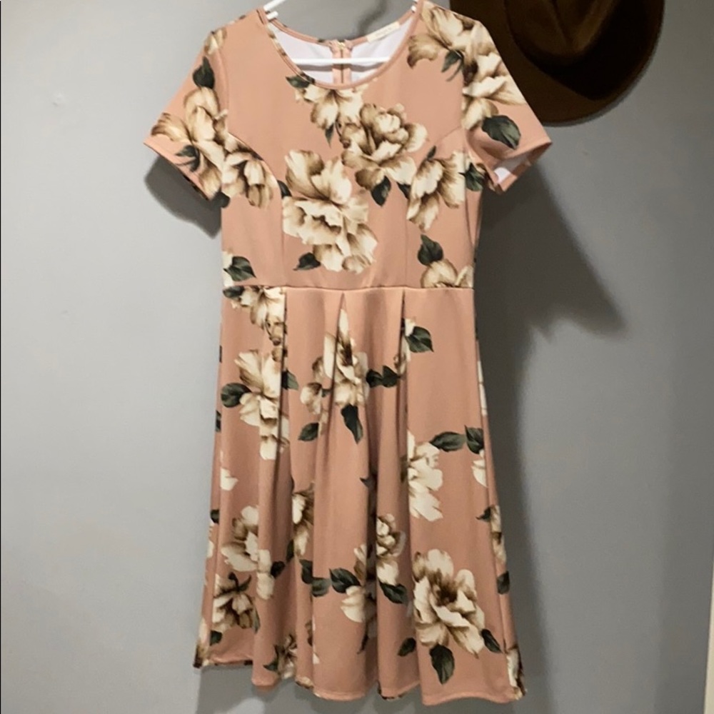 Pink and beige Dress